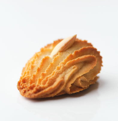 Paste secche